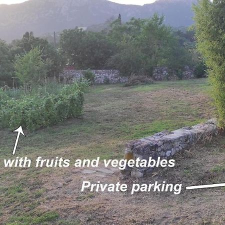 Villa Grecia Liapades Dış mekan fotoğraf