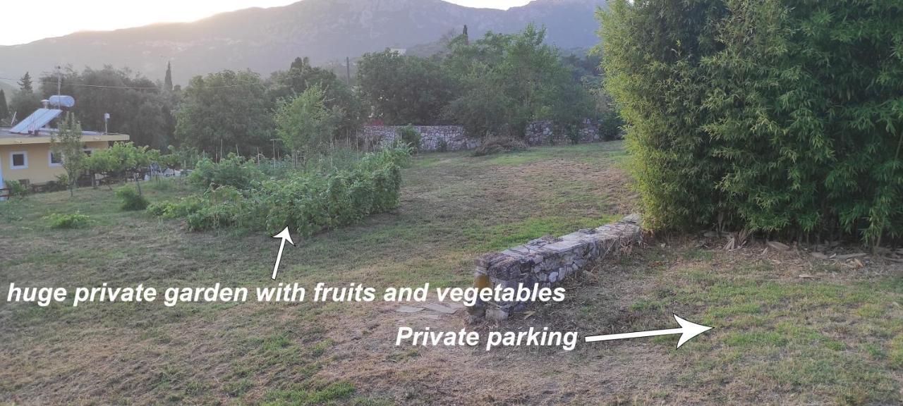Villa Grecia Liapades Dış mekan fotoğraf